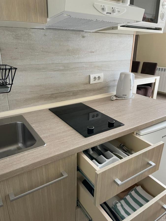 Vila Lucky Kop & Restoran Κοπαόνικ Εξωτερικό φωτογραφία